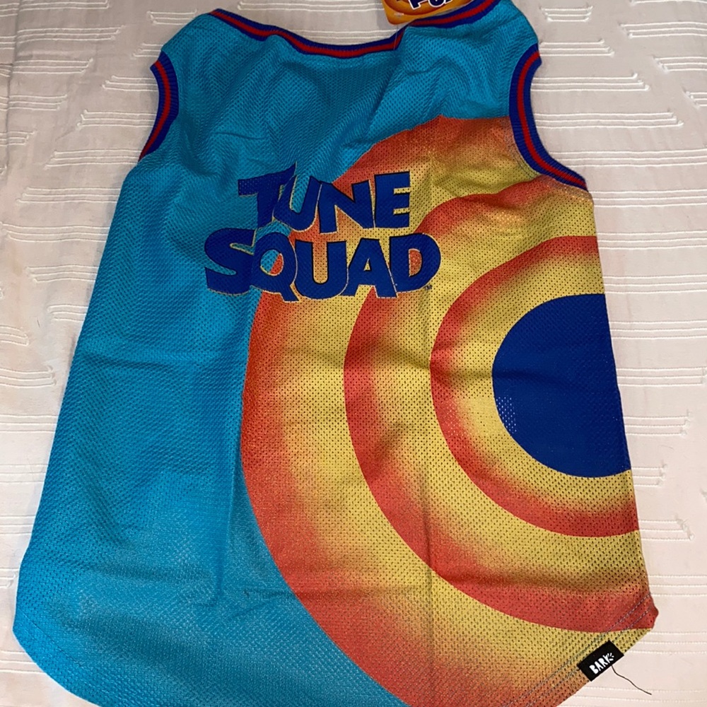 Tune Squad Jersey Large